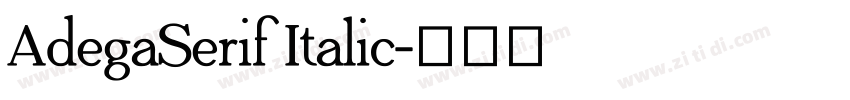 AdegaSerif Italic字体转换